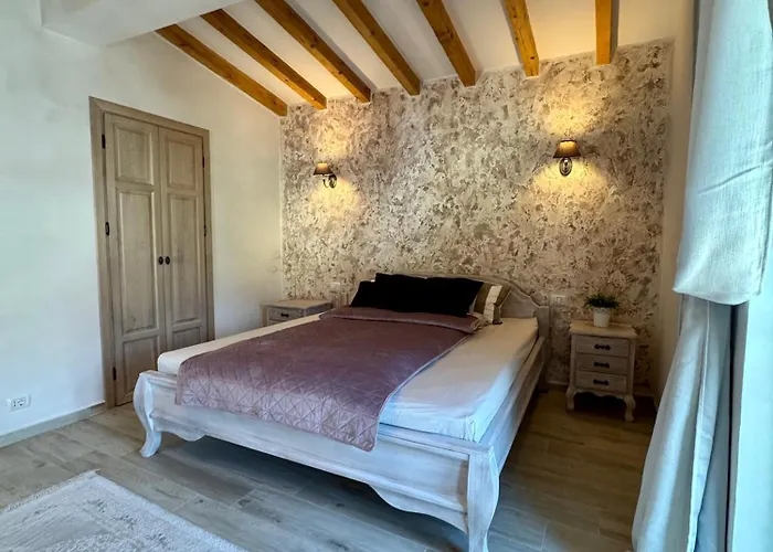 别墅 Luna 布拉索夫